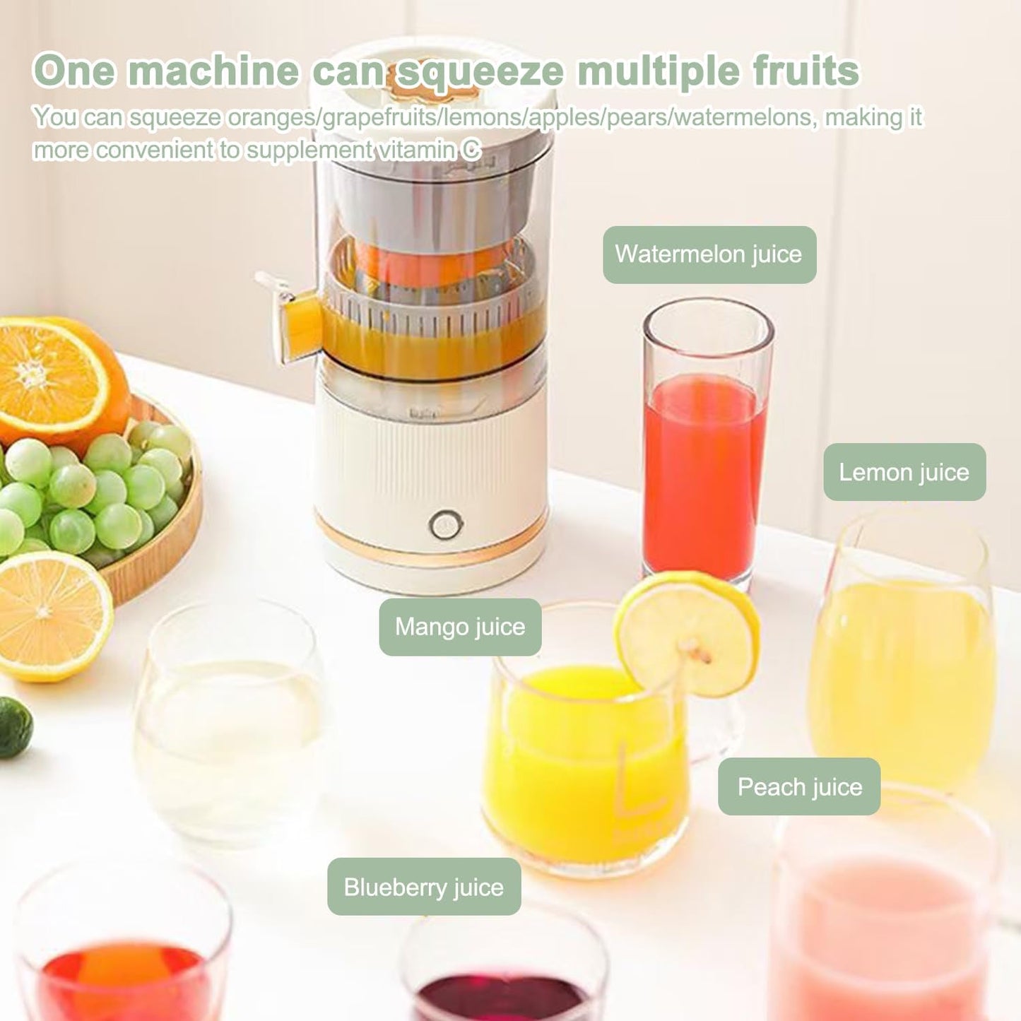 Citrus Juicer