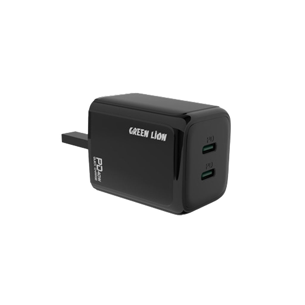 Charger 40W Dual-Port Type-C (Black) - Green Lion