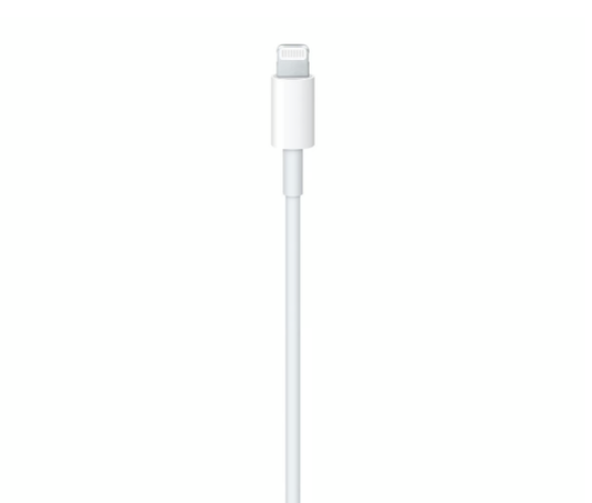 Cabel TYPE-C to Lightning 1M - Apple
