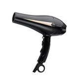 Professional Hair Dryer 2000W-Green Lion