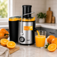Raf Low-Noise Slow Masticating Juicer