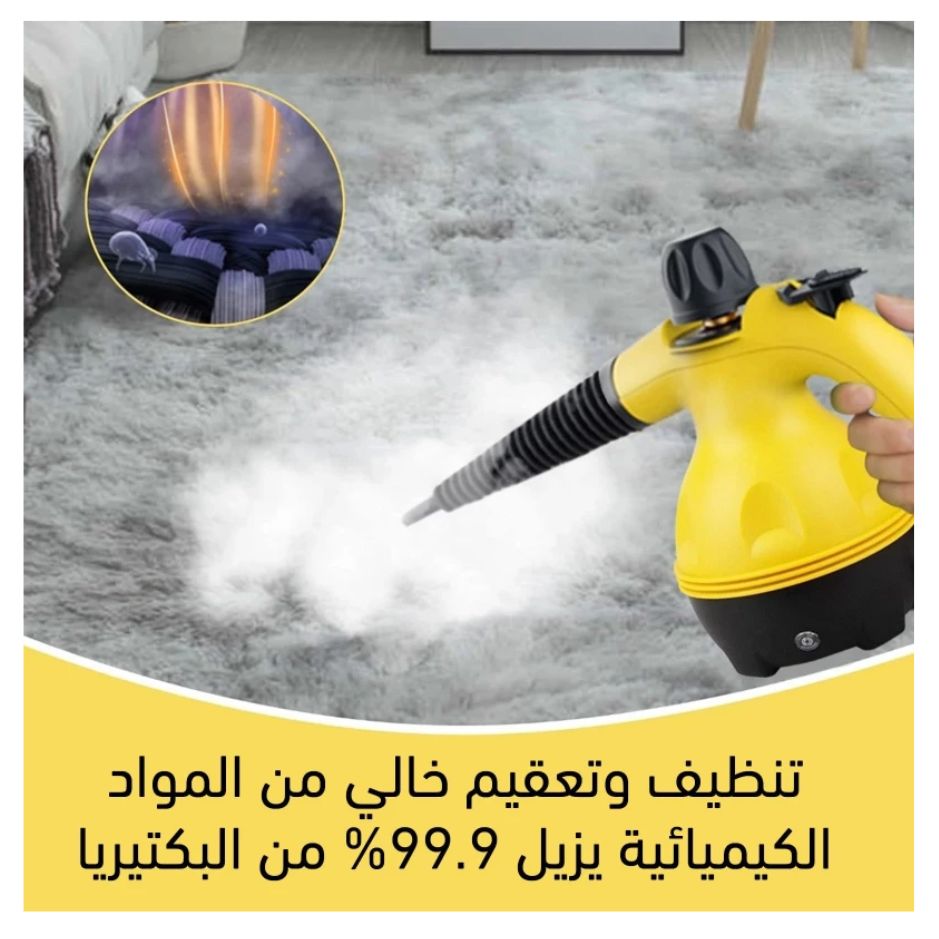 DF-A001 Steam Cleaner-Powerful Chemical-Free Home Cleaner with 1 Year Warranty