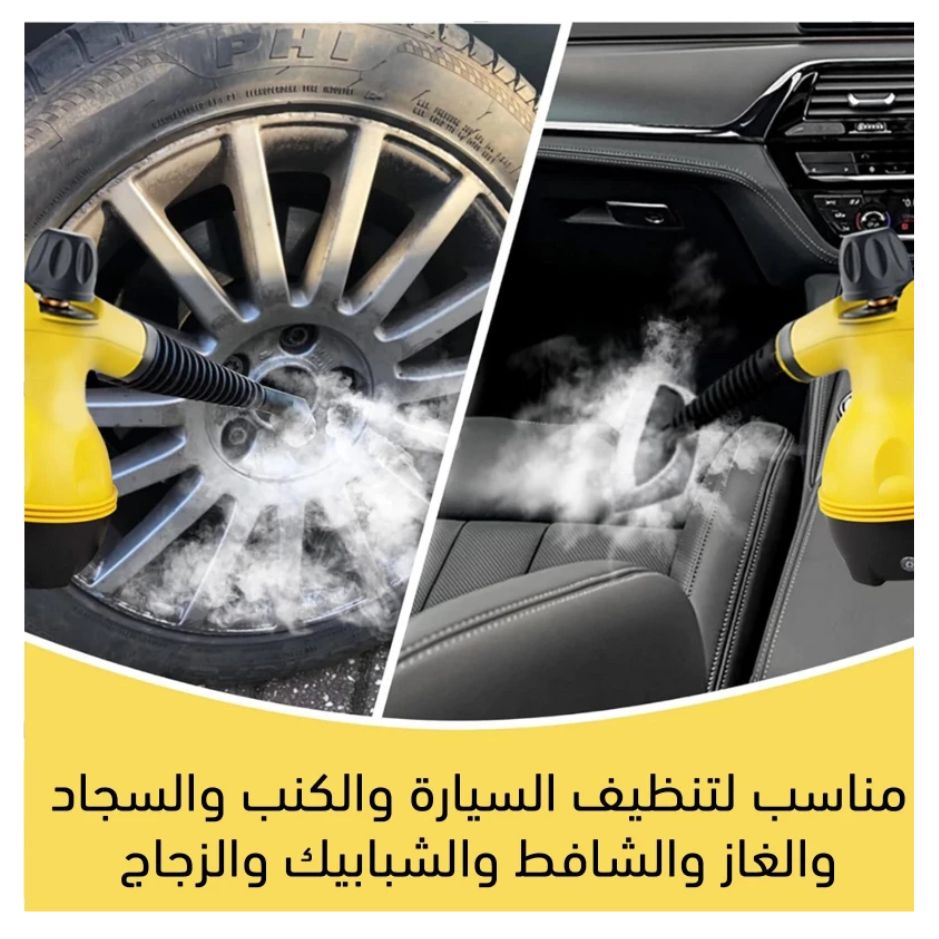 DF-A001 Steam Cleaner-Powerful Chemical-Free Home Cleaner with 1 Year Warranty