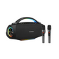 Wireless Karaoke Speaker With Dual Microphones