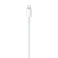 Apple USB-C to Lightning Cable 2M