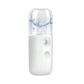 Portable Facial Steamer